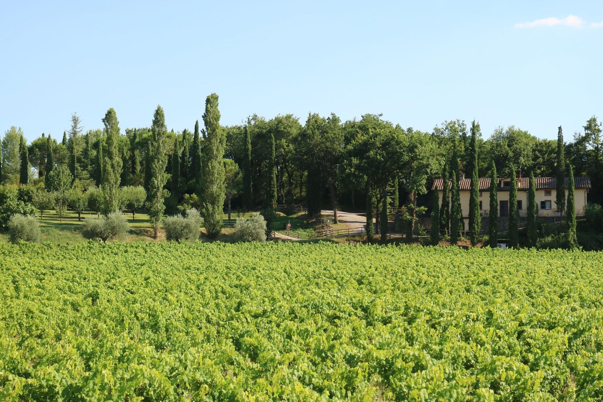 Agriturismo La Sovana Sarteano Exterior photo
