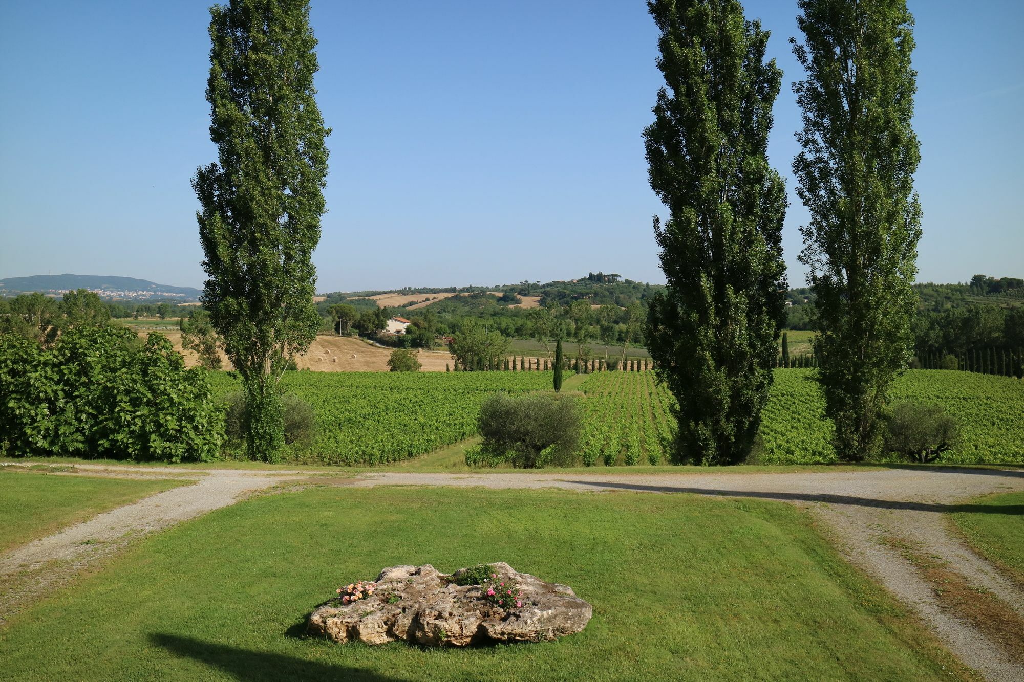 Agriturismo La Sovana Sarteano Exterior photo